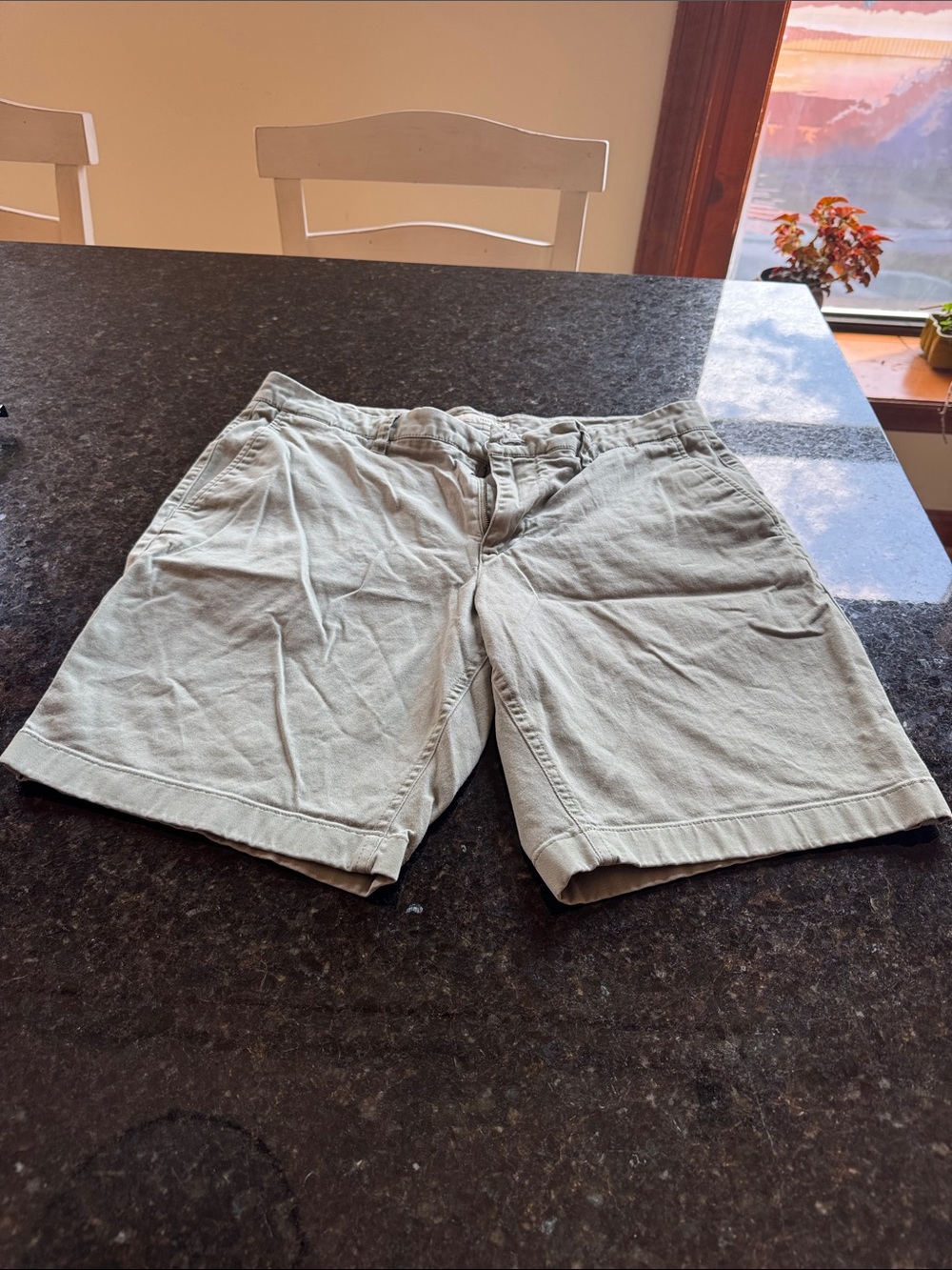 Hawker Rye - Greenish Khaki - Men's Flat-Front Everyday Shorts